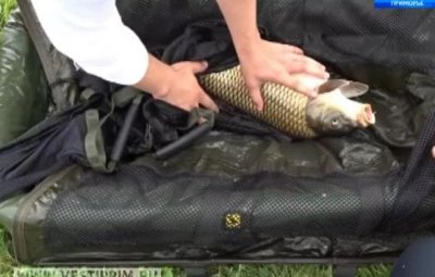 First Far East Team Carp Fishing Competition was held in Primorsky region.
