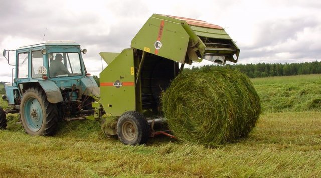 Farmers of Novolitovsky agricultural cooperative are harvesting grass crop for the winter season