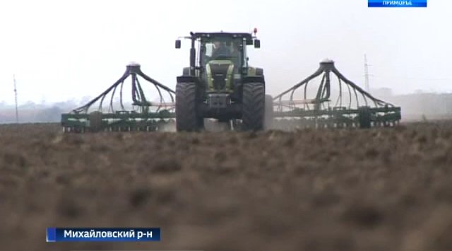 Grain crops are being sown in the south part of Primorsky region