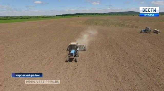 “The new economy of Primorye”. Primorye’s farmers increased sowing of soybeans
