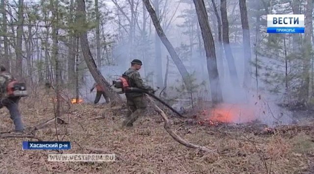 The inspectors of the national park “Zemlya leoparda” save the forest from fire