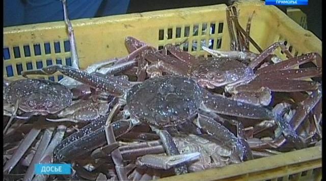 Fishermen of Primorye increased the catch of crabs and shrimp
