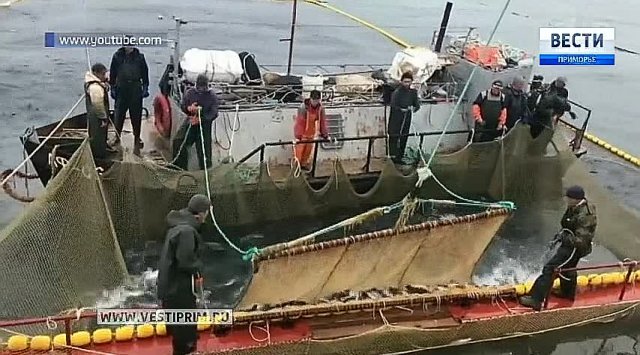 Vladivostok is preparing to challenge Asia’s fish terminals