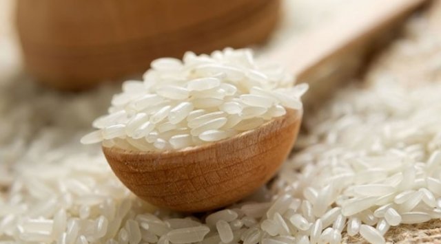Farmers of Primorye collected more than 27 thousand tons of rice