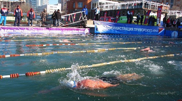 Vladivostok became the center of education of the International Winter Sports Swimming Federation