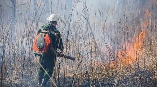 Three forest fires extinguished in Primorye