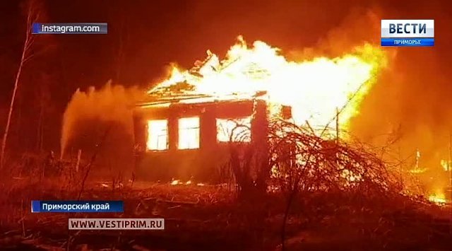 19 forest fires were extinguished in Primorye per day