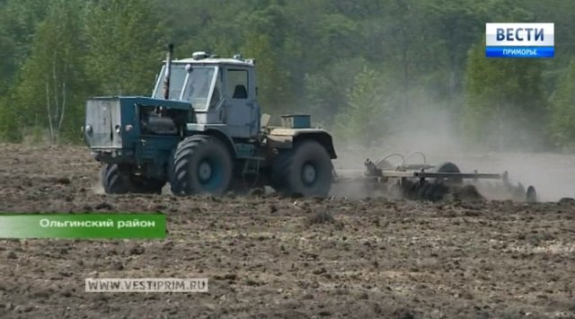«The economy of Primorye. Growth points»: grain crops are being planted in Primorye