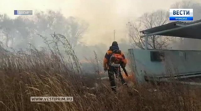 Firemen volunteers are willing to put out fires in Primorye’s forests