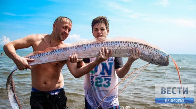 Fish that is a sign of tsunamis and earthquakes was caught in Primorye