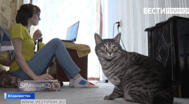 80 % of Russians started working from home