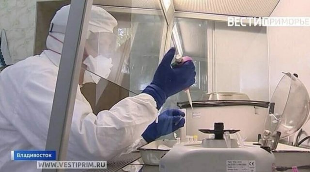 The number of people infected with COVID-19 in Primorye grew to 185