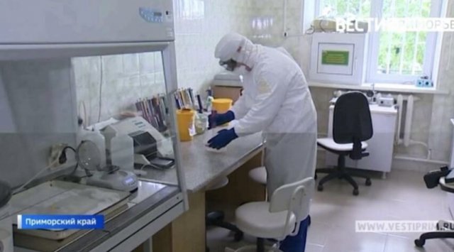 New coronavirus data in Russia
