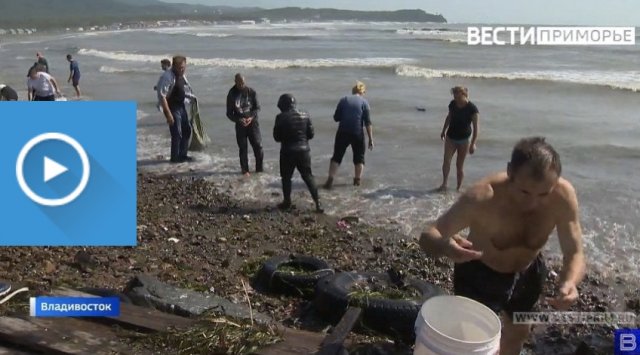 Citizens of Primorye collect generous sea harvest after the typhoon