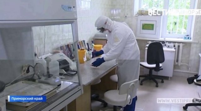 81 new coronavirus cases in Primorye