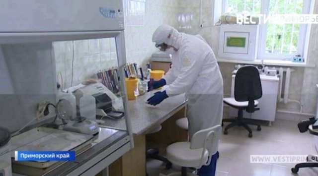 236 new positive coronavirus cases are found in Primorye