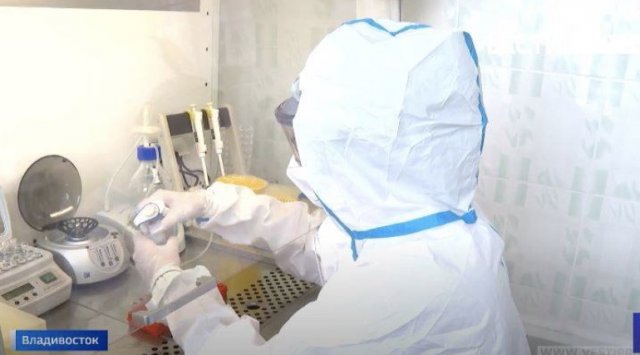 231 new coronavirus cases are confirmed in Primorye