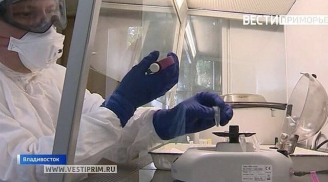 12 828 new coronavirus cases are confirmed in Russia