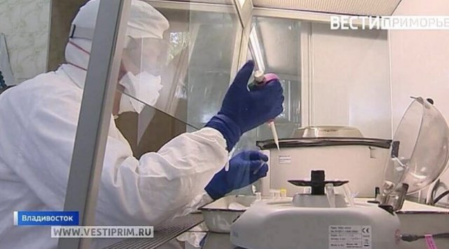 82 new positive cases and two lethal - new coronavirus data in Primorye