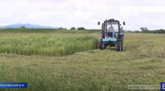 Farmers of Primorye are offered grants for buying new equipment
