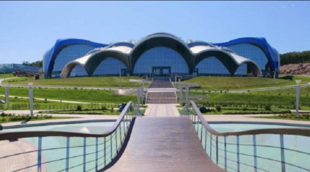 Primorye’s oceanarium made it to the top chart of Russia’s sights
