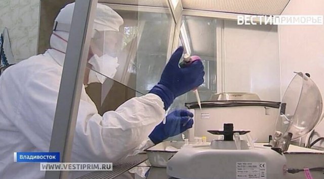 The numbers are going down: 46 new coronavirus cases are confirmed in Primorye