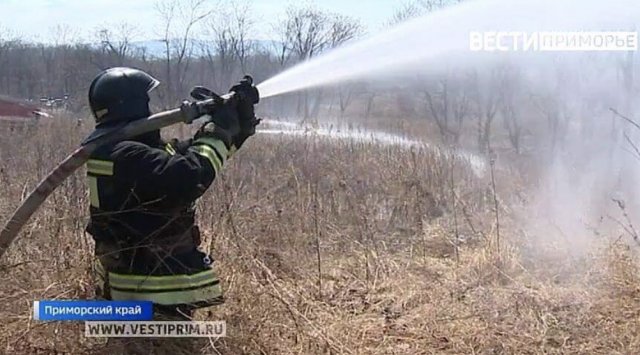 All of the forest fires have been liquidated in the north of Primorye