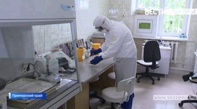 The number of coronavirus cases goes down in Russia