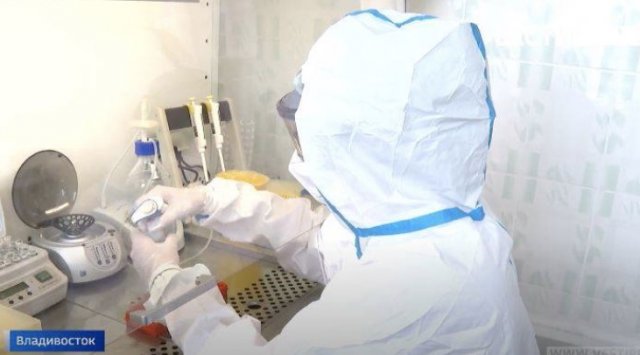 329 new coronavirus cases are confirmed in Primorye