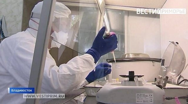 246 new coronavirus cases are confirmed in Primorye
