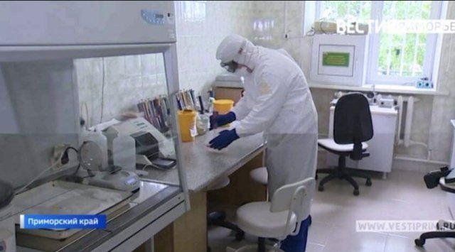 More than 500 new coronavirus cases are confirmed in Primorye