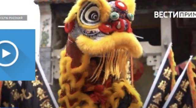 A dancing lion : Chinese New Year’s traditions